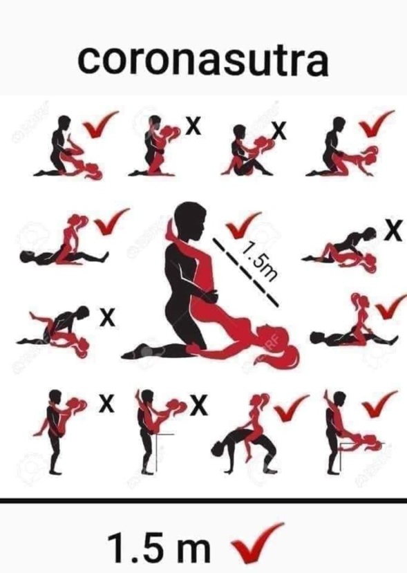 Les perles du net sur le confinement n°39 Les perles du net sur le confinement n°39