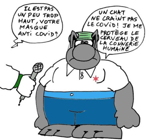 Les perles du net sur le confinement n°74 Les perles du net sur le confinement n°74