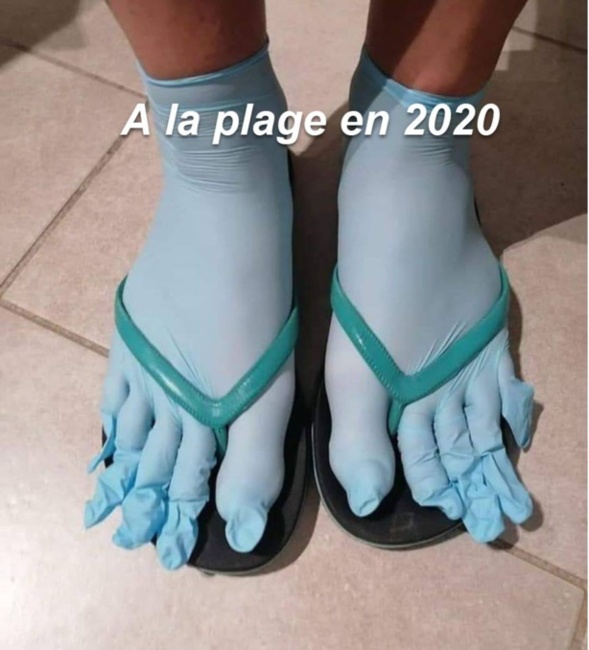 Les perles du net sur le confinement n°81 Les perles du net sur le confinement n°81