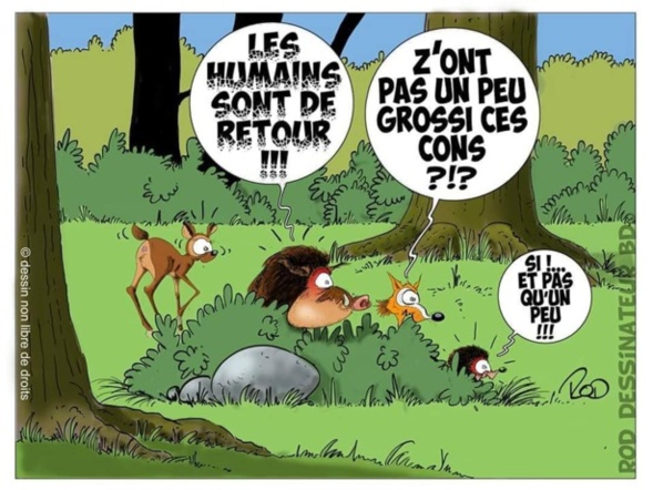 Les perles du net sur le confinement  n°83