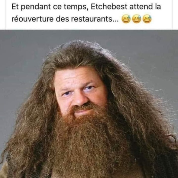 Les perles du net sur le confinement n°88 Les perles du net sur le confinement n°88