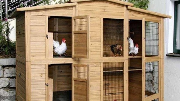 Réouverture du pétanquodrome. Réouverture du pétanquodrome.