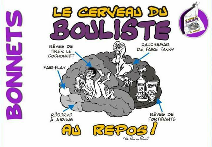 Un cerveau enfin décortiqué !!!!!! Un cerveau enfin décortiqué !!!!!!