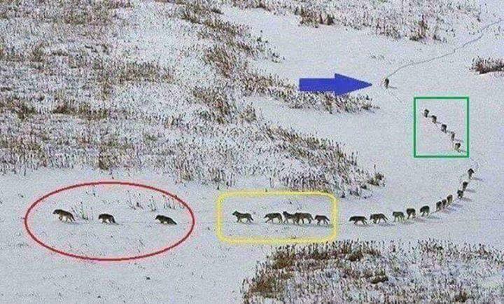 Une conclusion qui pourrait s'appliquer à la pétanque. Une conclusion qui pourrait s'appliquer à la pétanque.