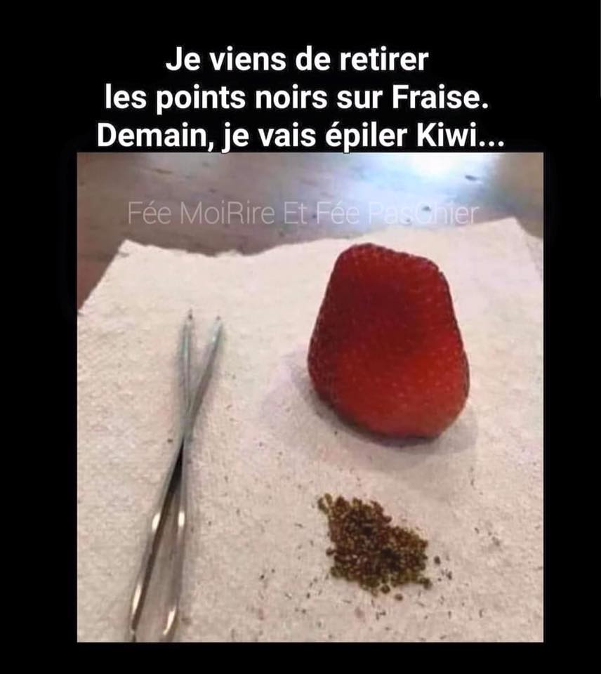 Les perles du net sur le confinement n°1