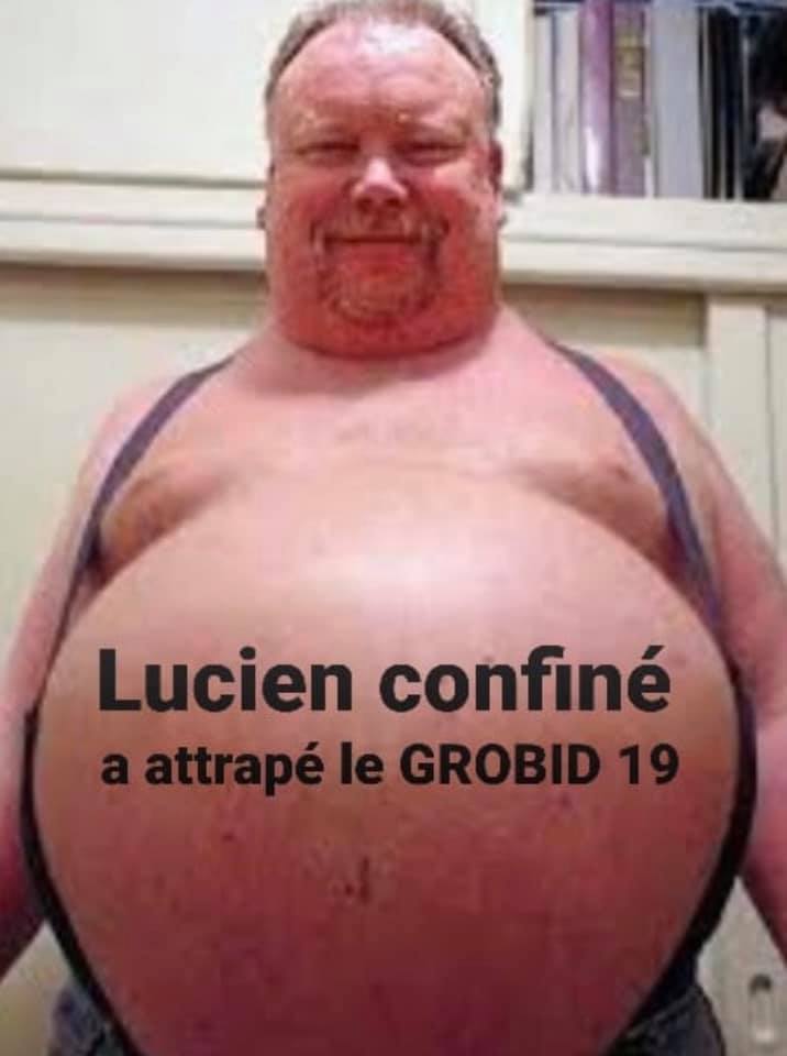 Les perles du net sur le confinement  n°4