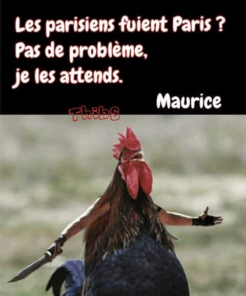 Les perles du net sur le confinement n°12 Les perles du net sur le confinement n°12