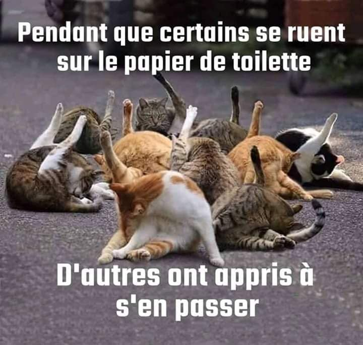 Les perles du net sur le confinement  n°14