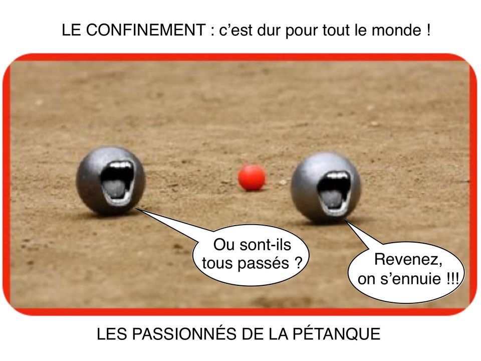 Les perles du net sur le confinement  n°28