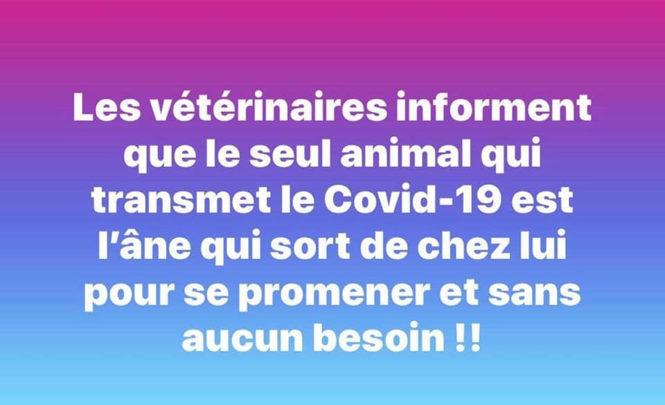 Les perles du net sur le confinement  n°34