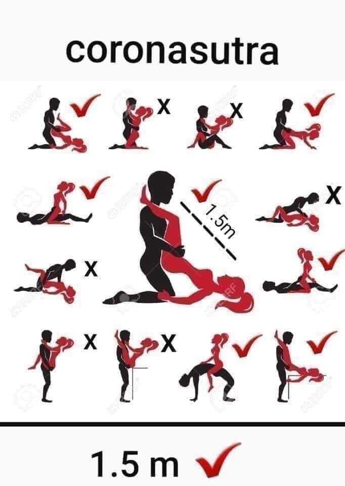 Les perles du net sur le confinement n°39 Les perles du net sur le confinement n°39