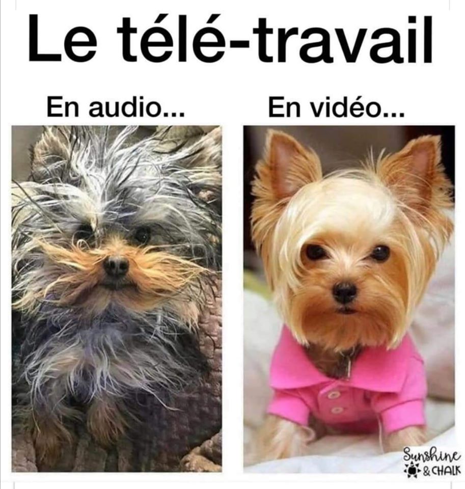 Les perles du net sur le confinement  n°42