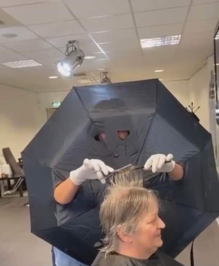 Les perles du net sur le confinement n°48 Les perles du net sur le confinement n°48