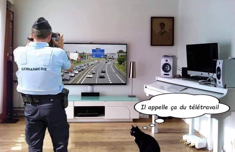 Les perles du net sur le confinement  n°49