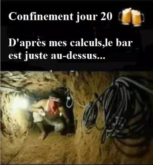 Les perles du net sur le confinement  n°59