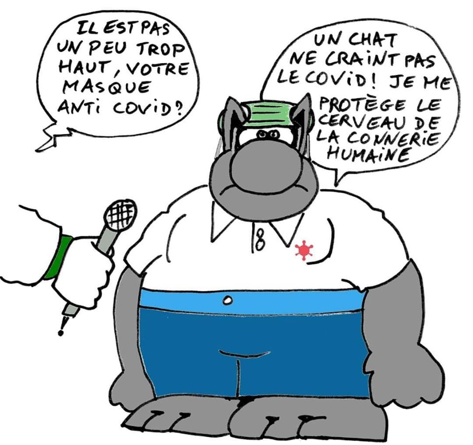 Les perles du net sur le confinement n°74 Les perles du net sur le confinement n°74