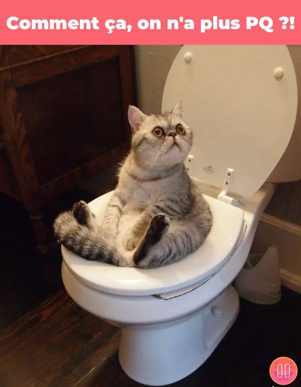 Les perles du net sur le confinement n°77 Les perles du net sur le confinement n°77