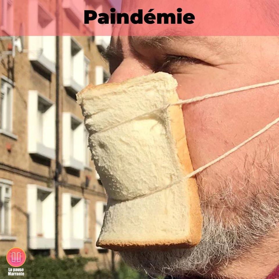 Les perles du net sur le confinement  n°80