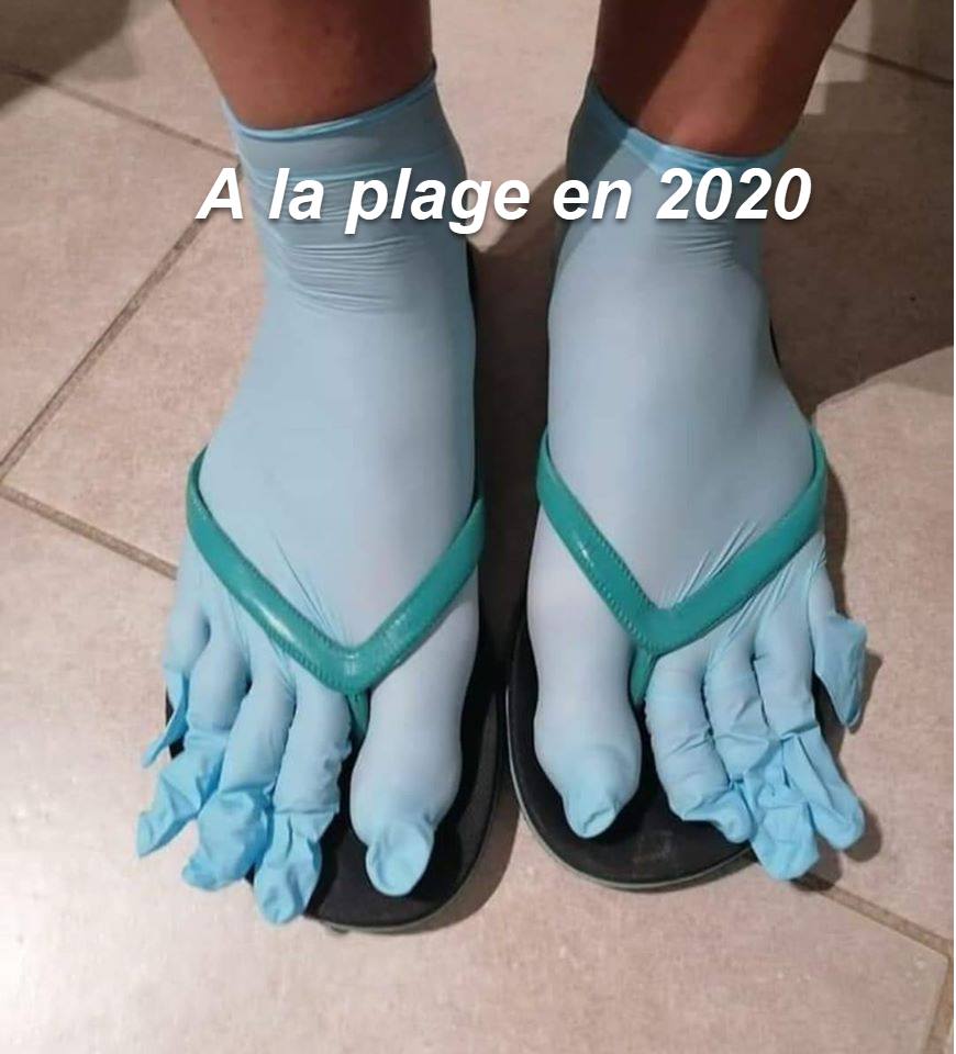 Les perles du net sur le confinement  n°81