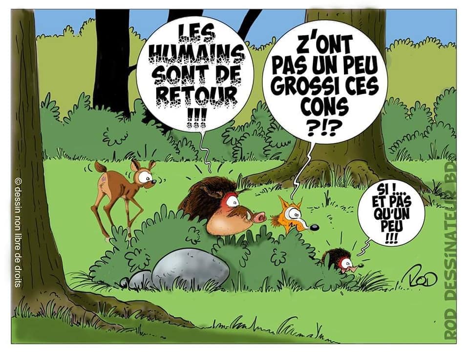 Les perles du net sur le confinement  n°83