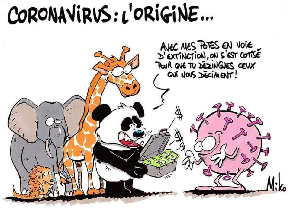 Les perles du net sur le confinement  n° 90