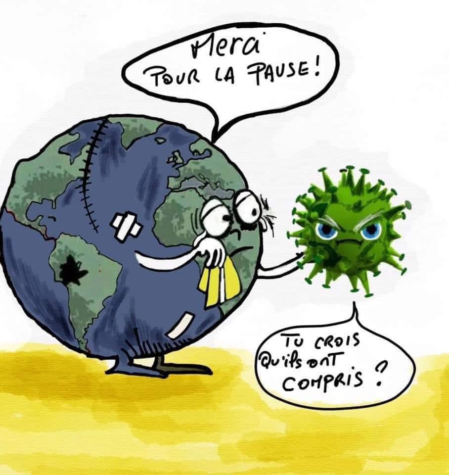 Les perles du net sur le confinement  n°91
