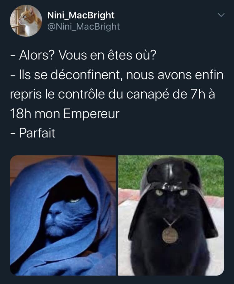 Les perles du net sur le confinement  n°99