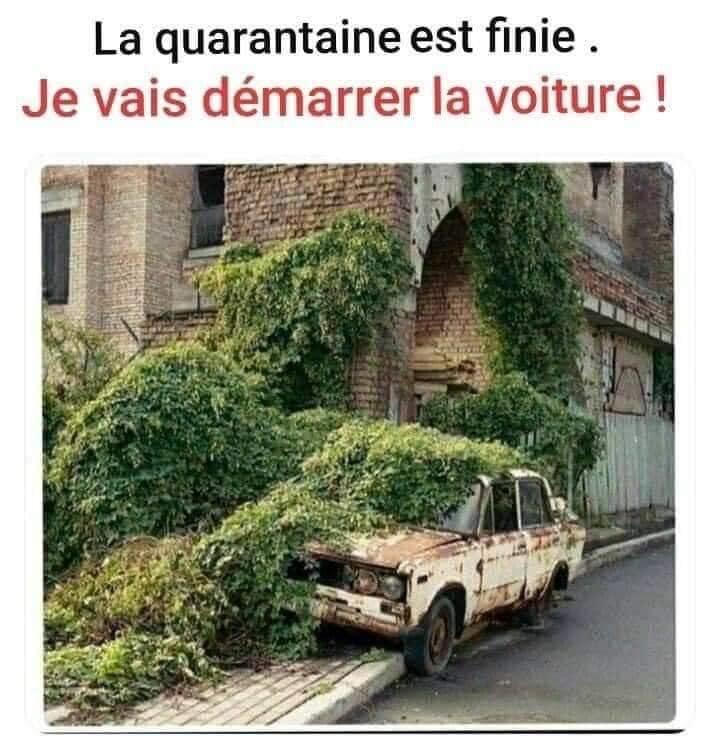 Les perles du net sur le confinement  n°100