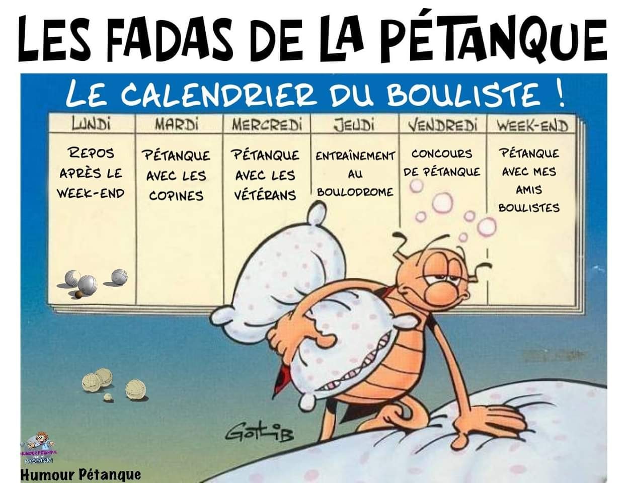 LES FADAS DE LA PETANQUE : AMITIE AVANT TOUT...