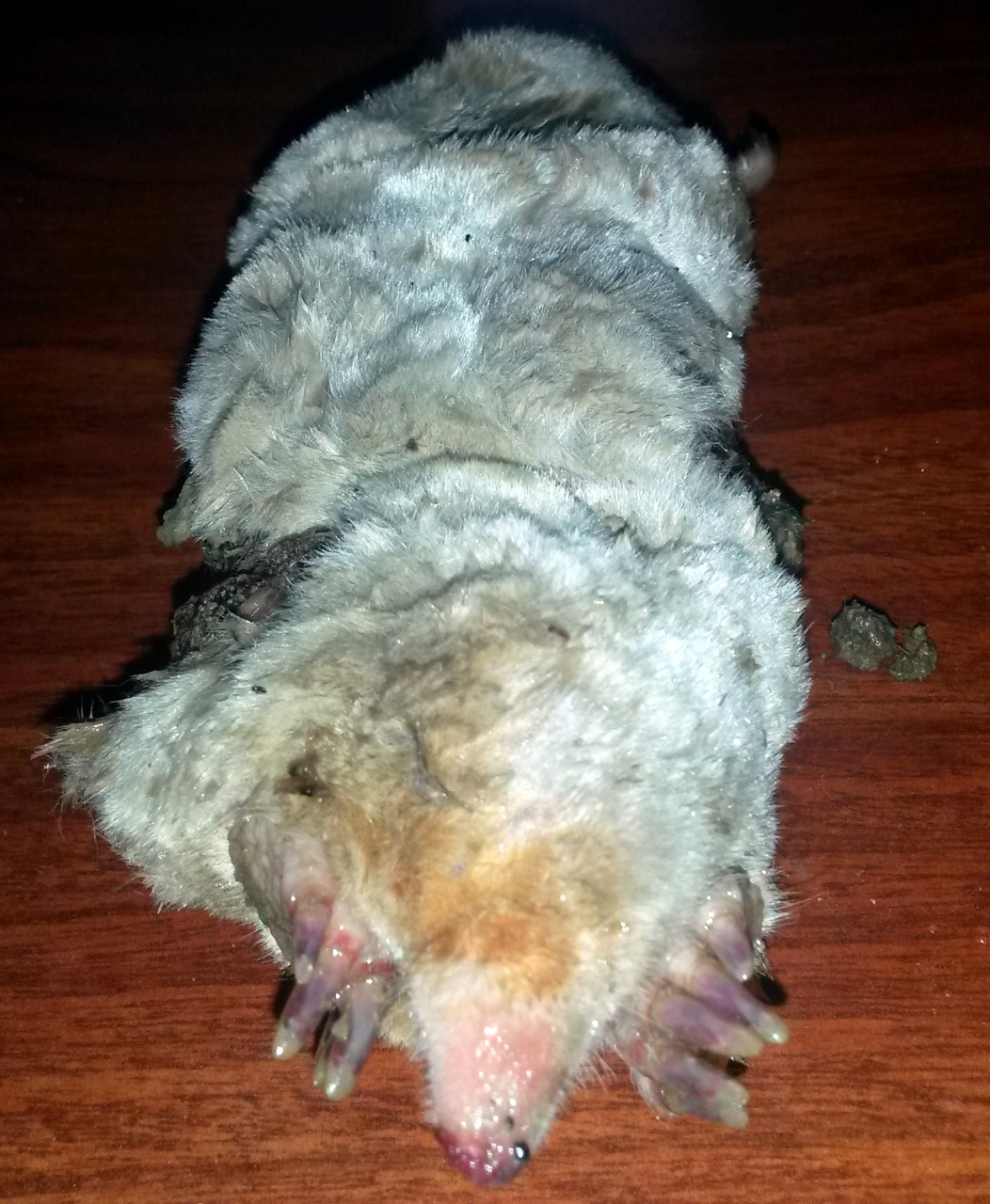 20160610_185234 20160610_185234