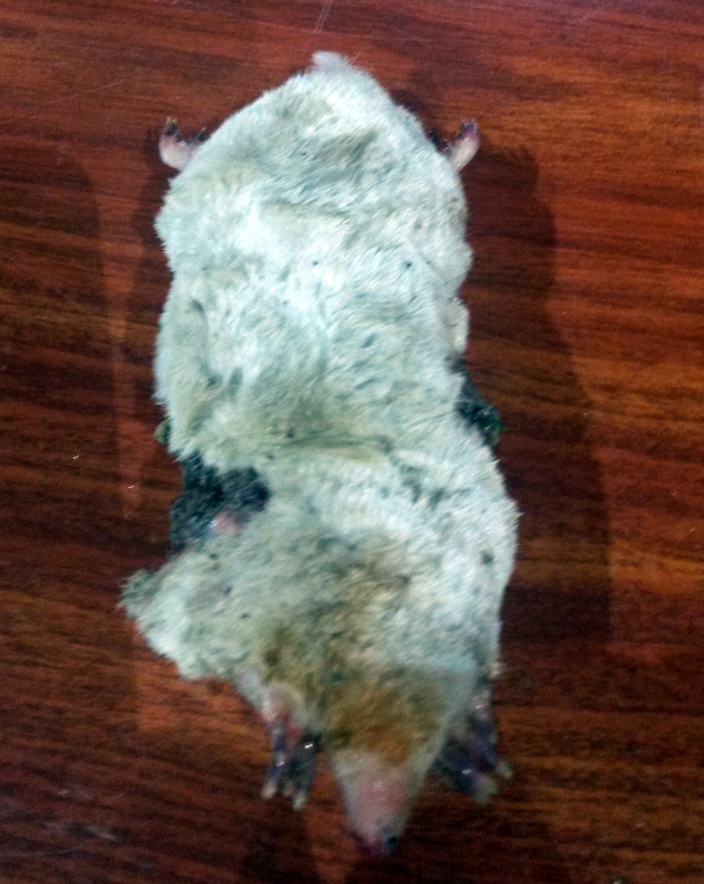 20160610_185314 20160610_185314