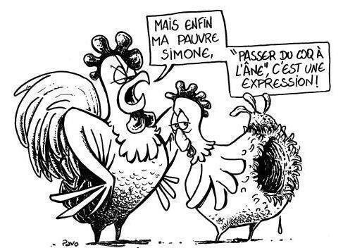 SIMONE SIMONE