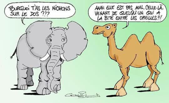 Article n°1363 Article n°1363