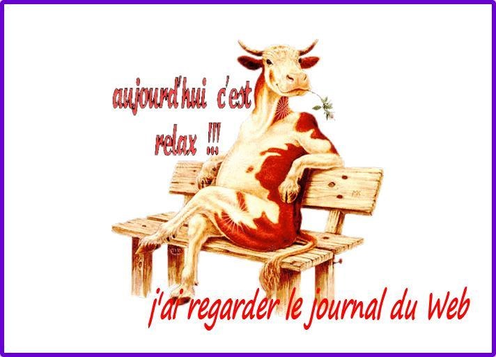 JOURNAL DU WEB JOURNAL DU WEB