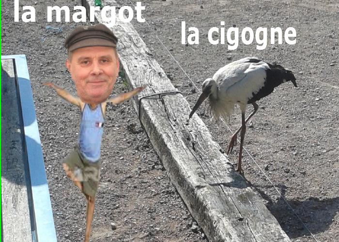 La Cigogne et la Margot