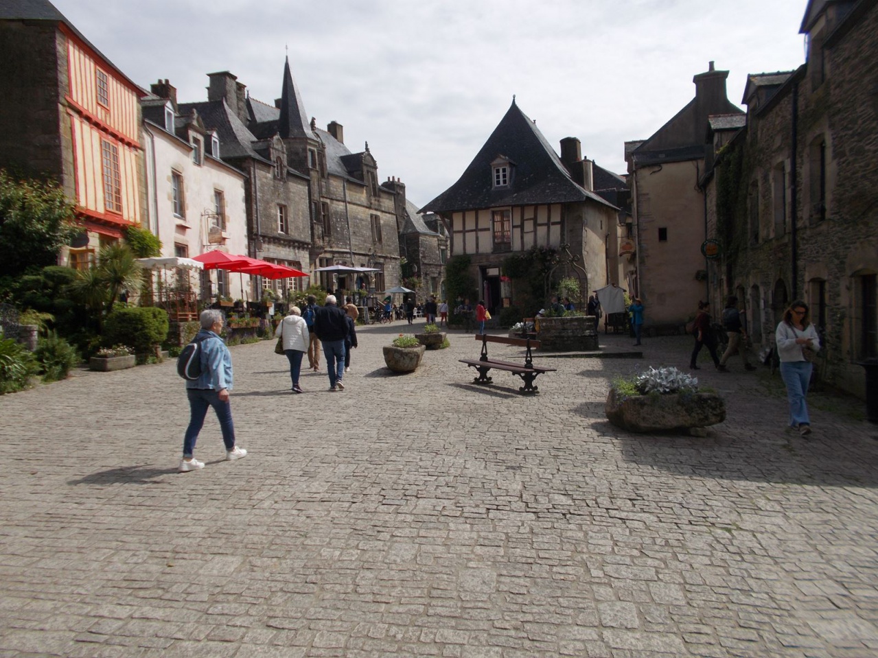 _copie-0_DSCN8500 _copie-0_DSCN8500