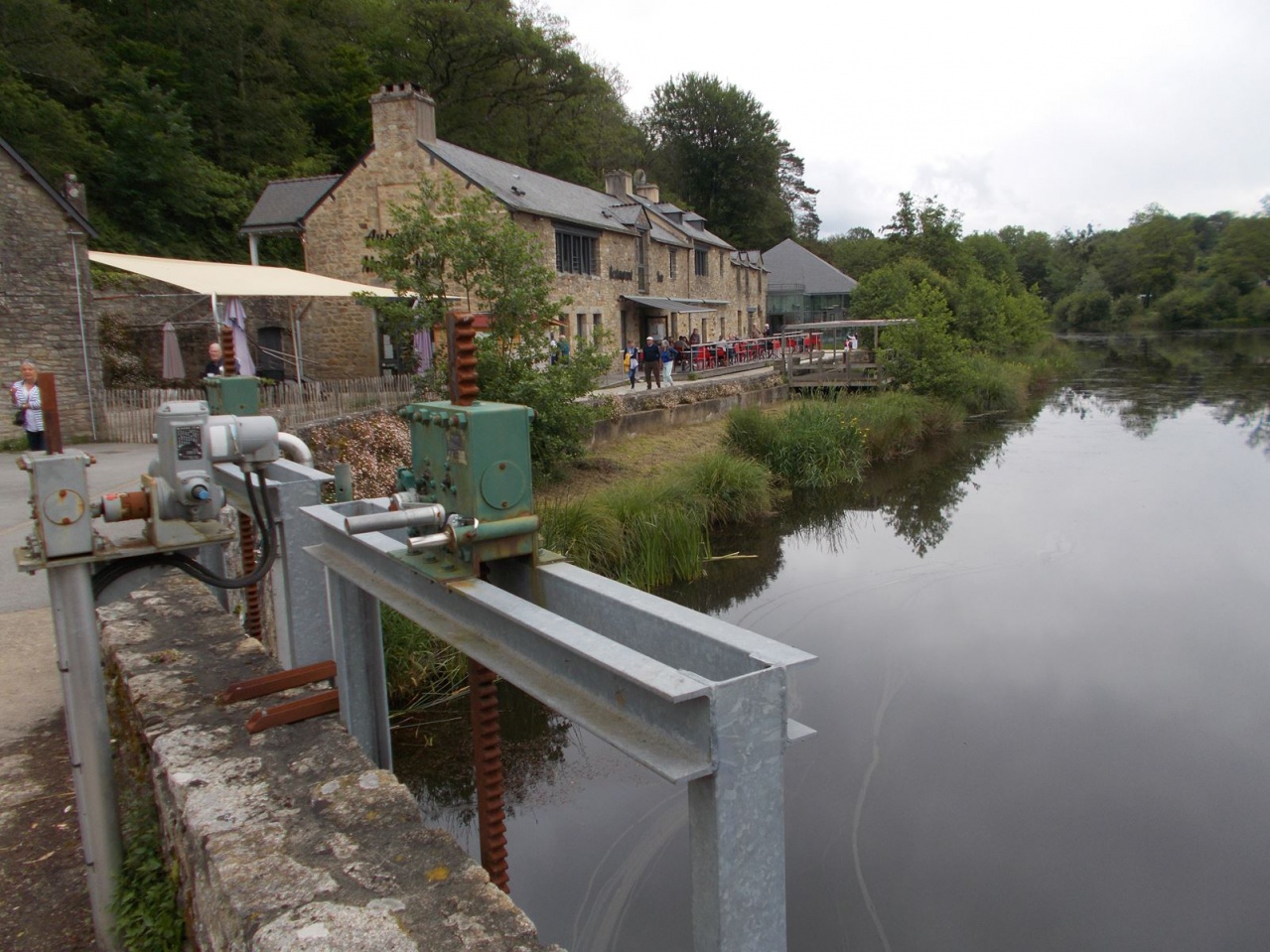 _copie-0_DSCN8517 _copie-0_DSCN8517