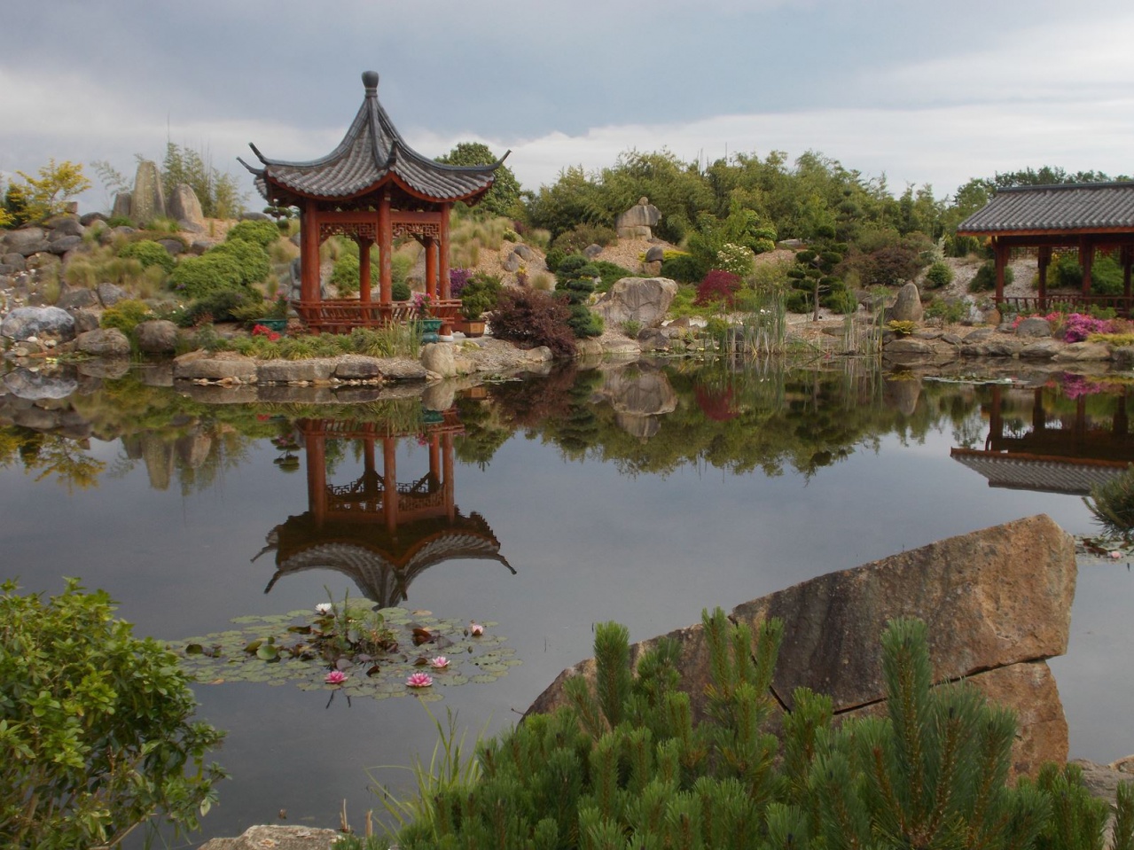 _copie-0_DSCN8535 _copie-0_DSCN8535