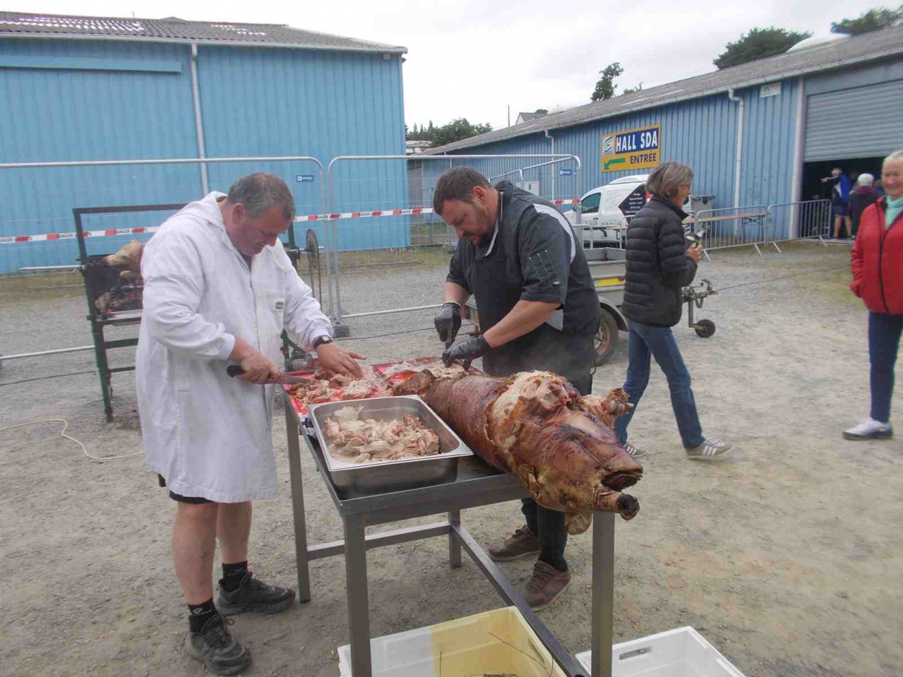 _copie-0_DSCN9126 _copie-0_DSCN9126