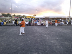 LE MARQUAGE INDIVIDUEL POINTEUSES-TIREUSES LE MARQUAGE INDIVIDUEL POINTEUSES-TIREUSES