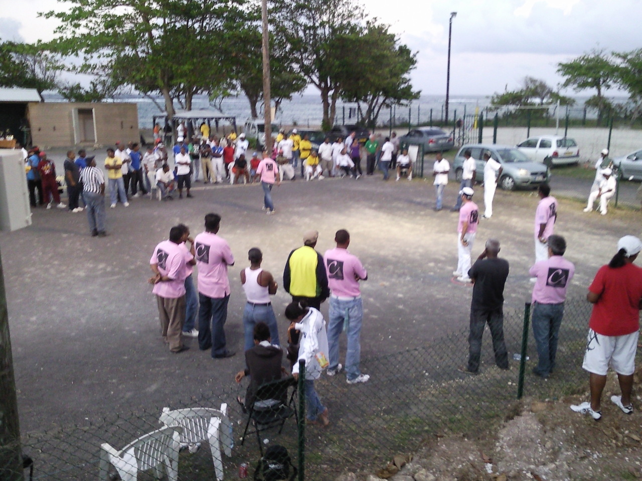 BRUNO scrutant le terrain.jpg BRUNO scrutant le terrain.jpg