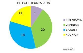 Licenciés Jeunes CD78 2015