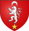 Montbazens (12)