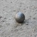 boule01.jpg