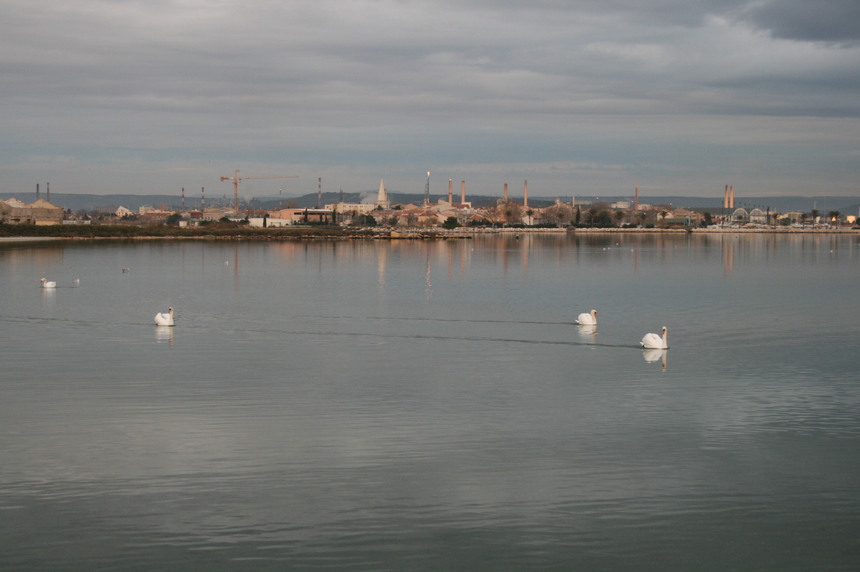 Le Nouveau Bureau 2011 Le Nouveau Bureau 2011