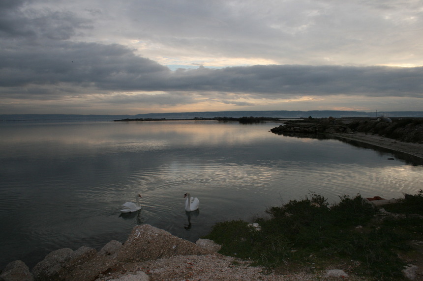Le Nouveau Bureau 2011 Le Nouveau Bureau 2011