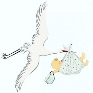 Carnet Rose Carnet Rose