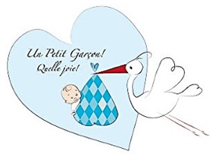 Carnet rose Carnet rose