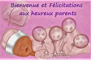 Carnet rose Carnet rose