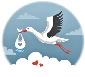 Carnet rose Carnet rose